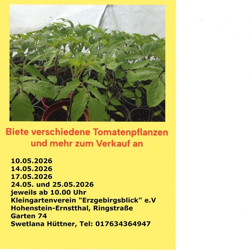 Verkauf von Tomatenpflanzen u.a.